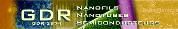 Logo_GdR_Nanofils.jpg